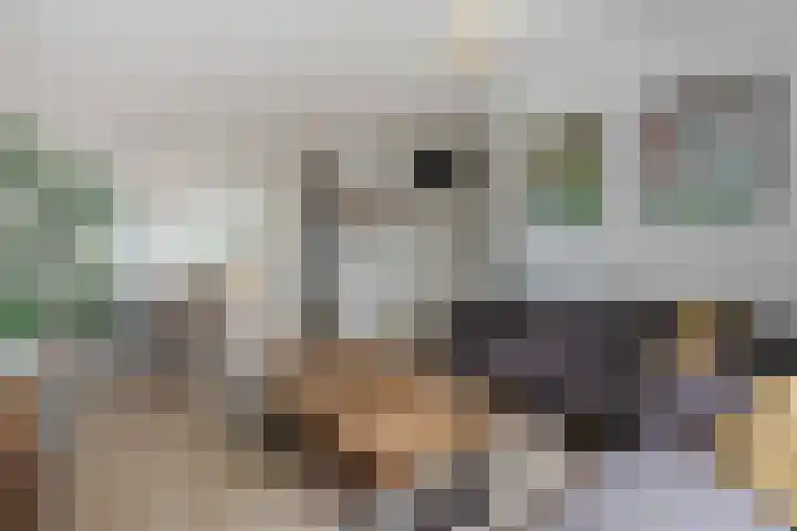 Moselborg 21 Maastricht thumbnail 8
