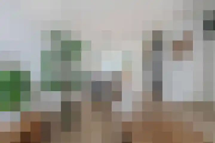 Moselborg 21 Maastricht thumbnail 9