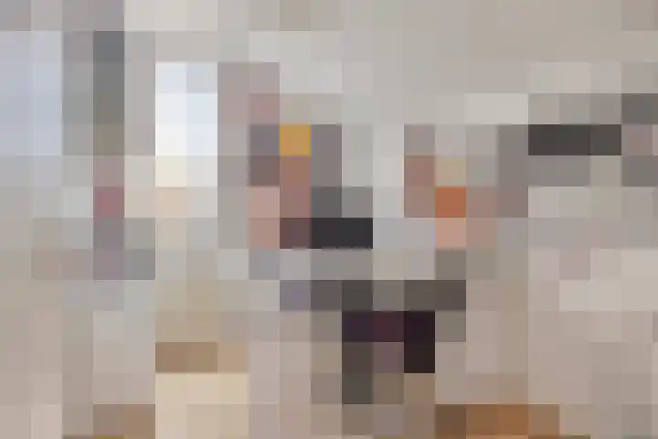 Moselborg 25 Maastricht thumbnail 15