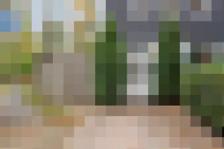 Moselborg 25 Maastricht thumbnail 25