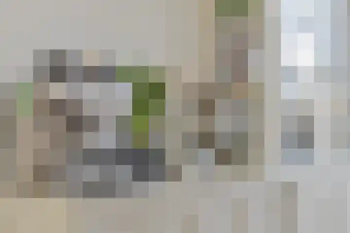 Moselborg 55 Maastricht thumbnail 11