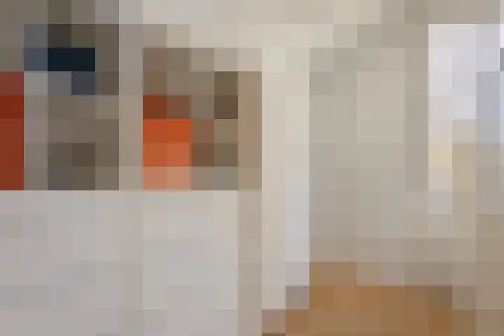 Moselborg 55 Maastricht thumbnail 22
