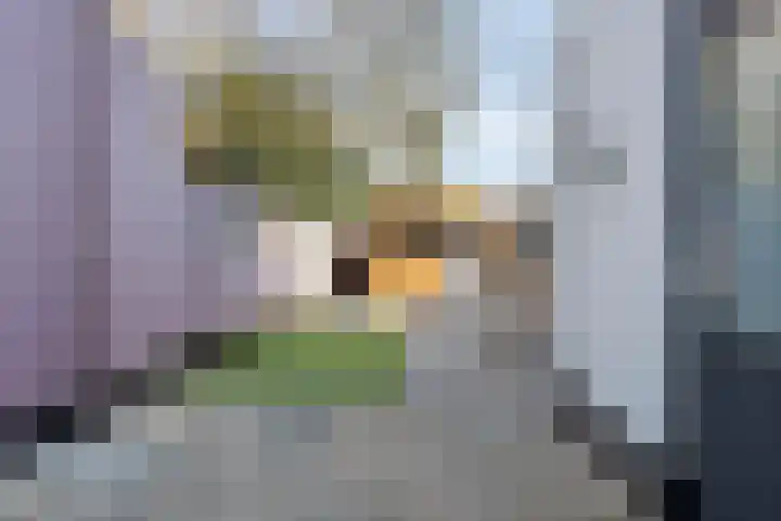 Moselborg 55 Maastricht thumbnail 25