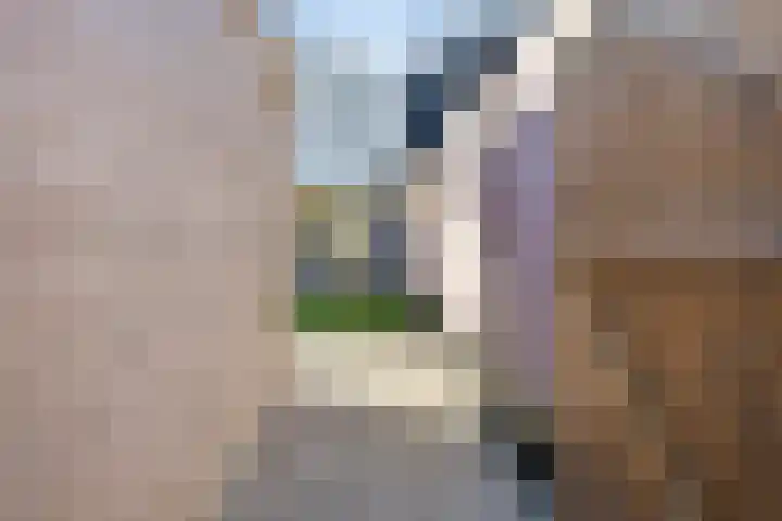 Moselborg 55 Maastricht thumbnail 29