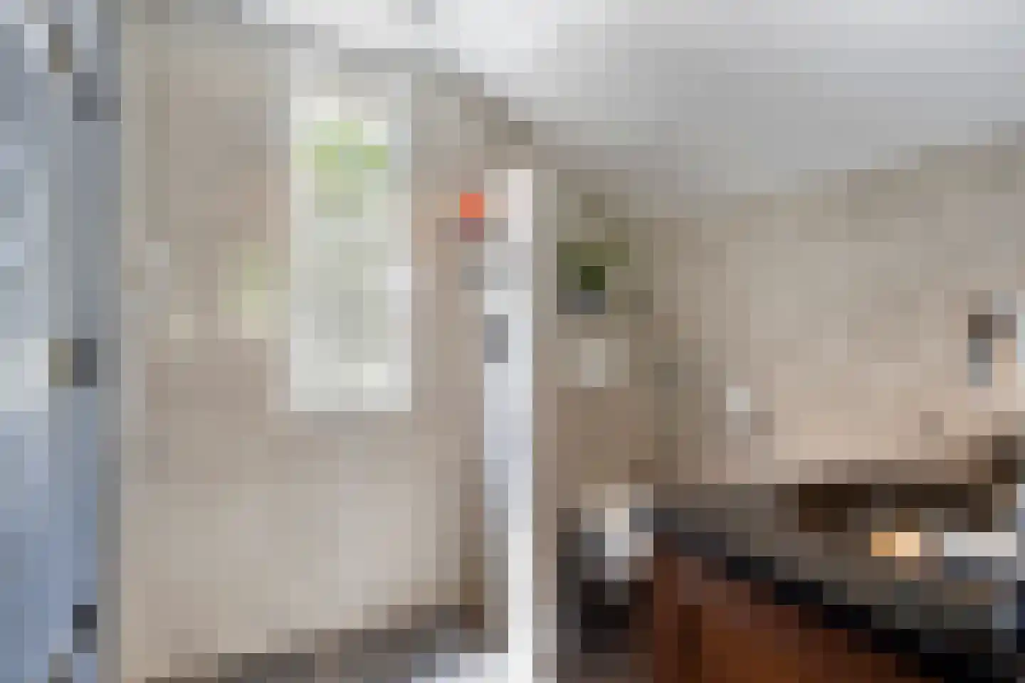 Moselborg 63 Maastricht thumbnail 22