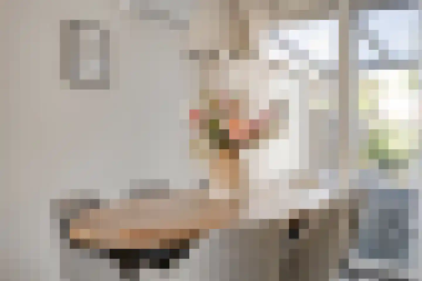Moselborg 7 Maastricht thumbnail 11