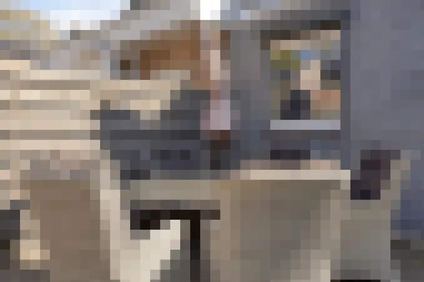 Moselborg 7 Maastricht thumbnail 27