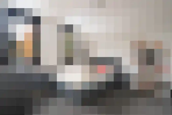 Moselborg 77 Maastricht thumbnail 10