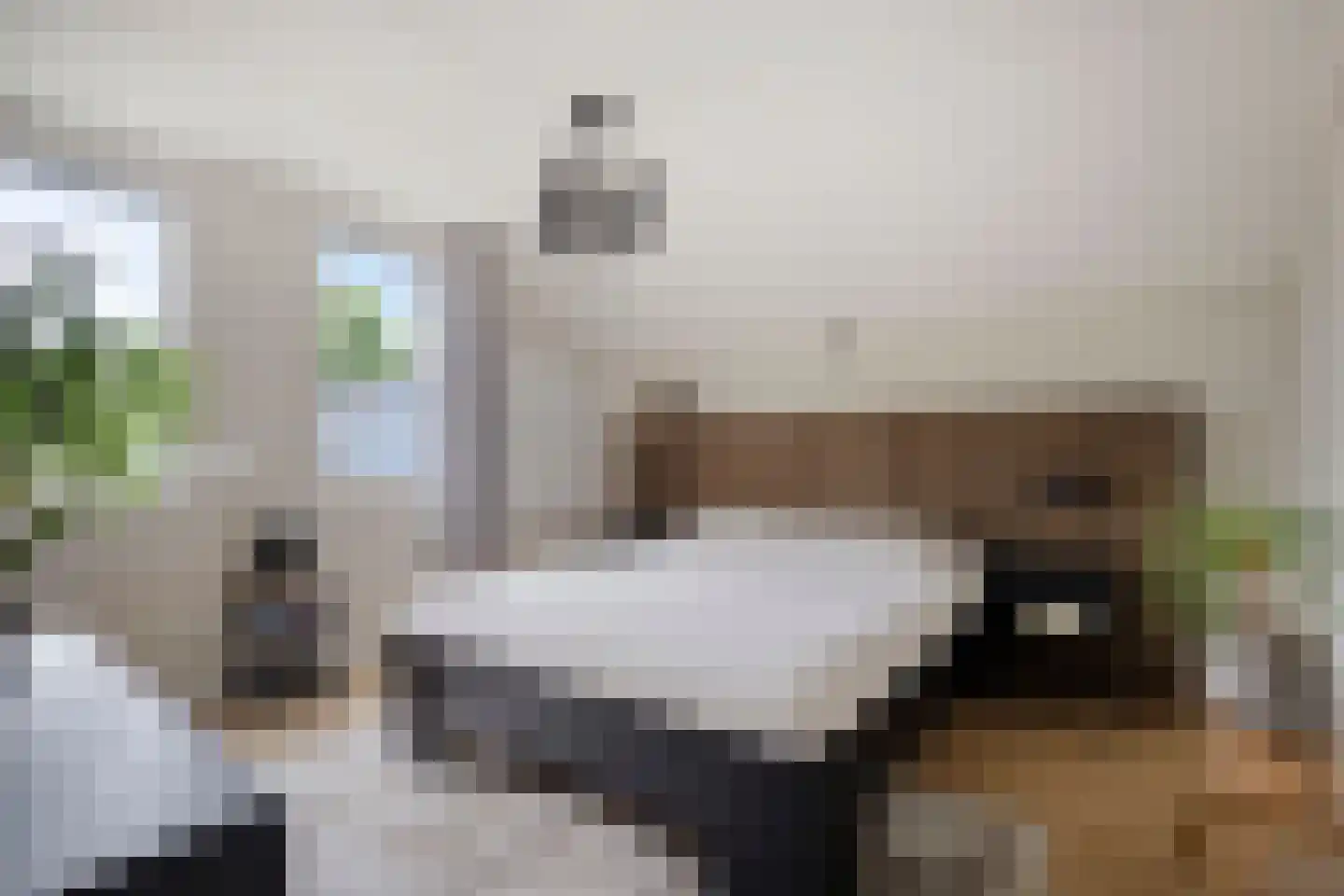 Moselborg 79 Maastricht thumbnail 18