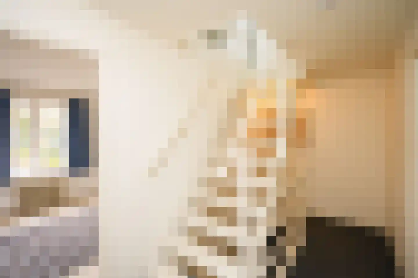 Moses en Aäronlaan 21 Heilig Landstichting thumbnail 24