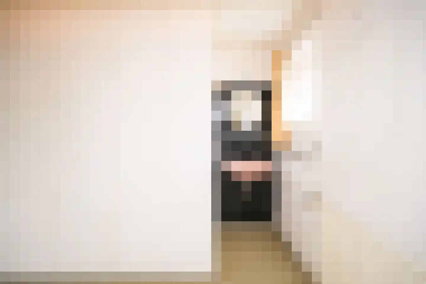 Moses en Aäronlaan 21 Heilig Landstichting thumbnail 27