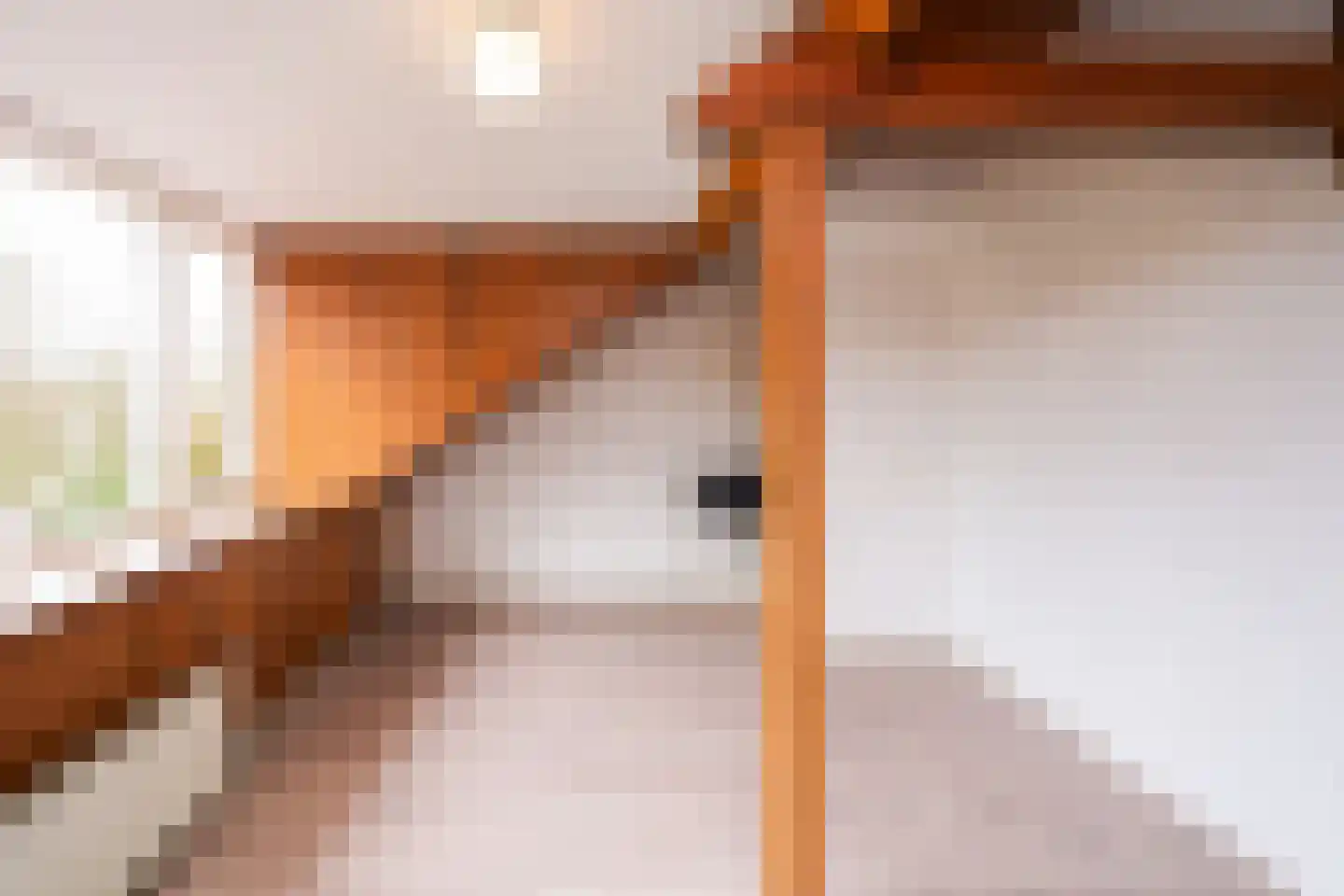 Moses en Aäronlaan 21 Heilig Landstichting thumbnail 29