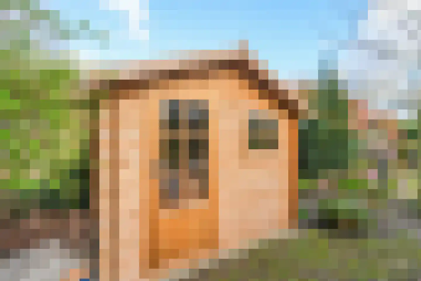 Moses en Aäronlaan 21 Heilig Landstichting thumbnail 30