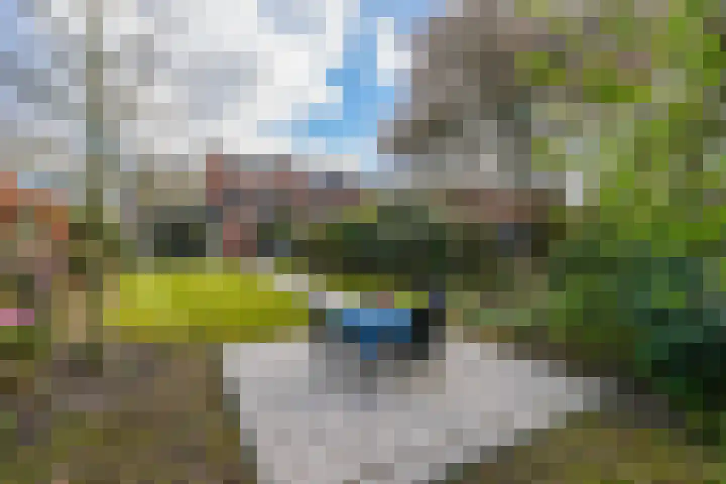 Moses en Aäronlaan 21 Heilig Landstichting thumbnail 31