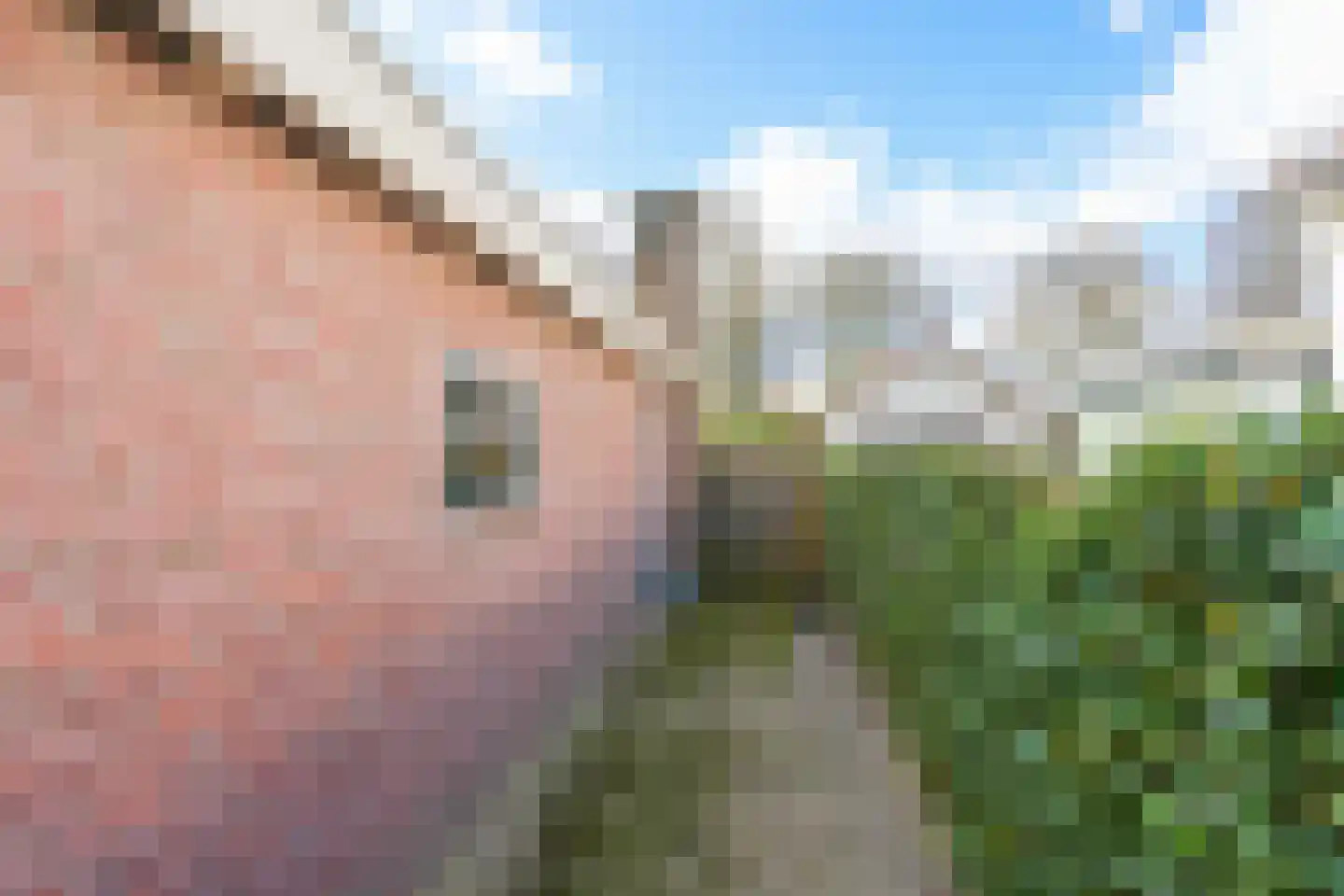 Moses en Aäronlaan 21 Heilig Landstichting thumbnail 33