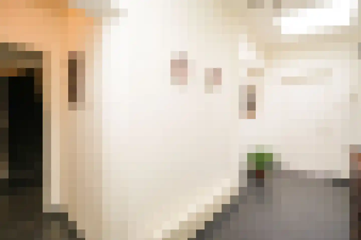 Moses en Aäronlaan 21 Heilig Landstichting thumbnail 4