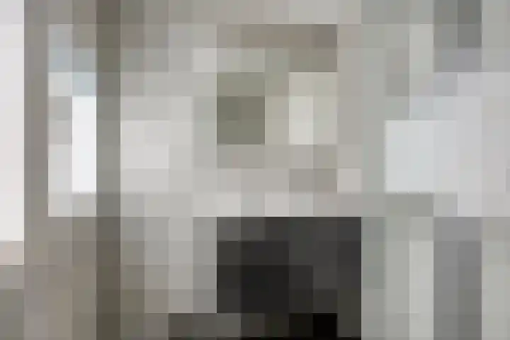 Mosgroen 16 Zoetermeer thumbnail 17