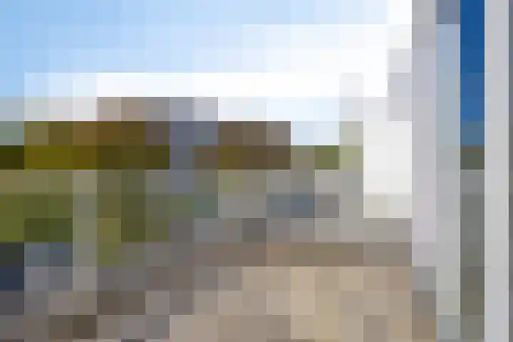 Mosgroen 16 Zoetermeer thumbnail 31