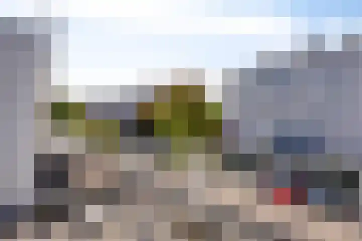 Mosgroen 16 Zoetermeer thumbnail 32