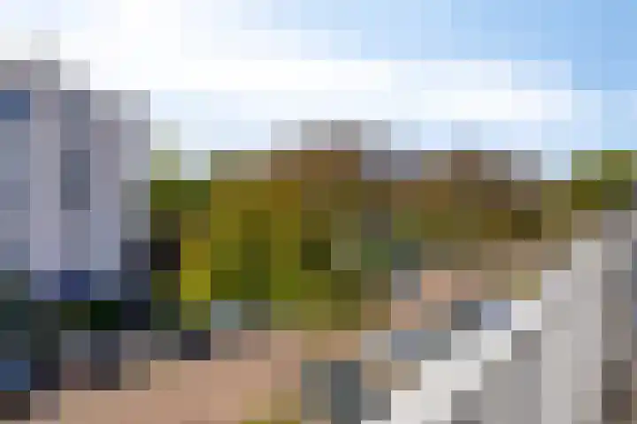 Mosgroen 16 Zoetermeer thumbnail 38