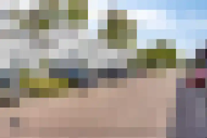 Mosgroen 16 Zoetermeer thumbnail 39