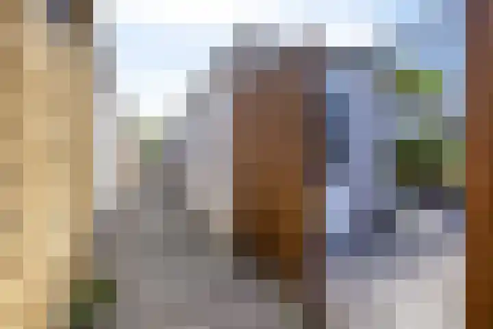 Mosgroen 16 Zoetermeer thumbnail 43