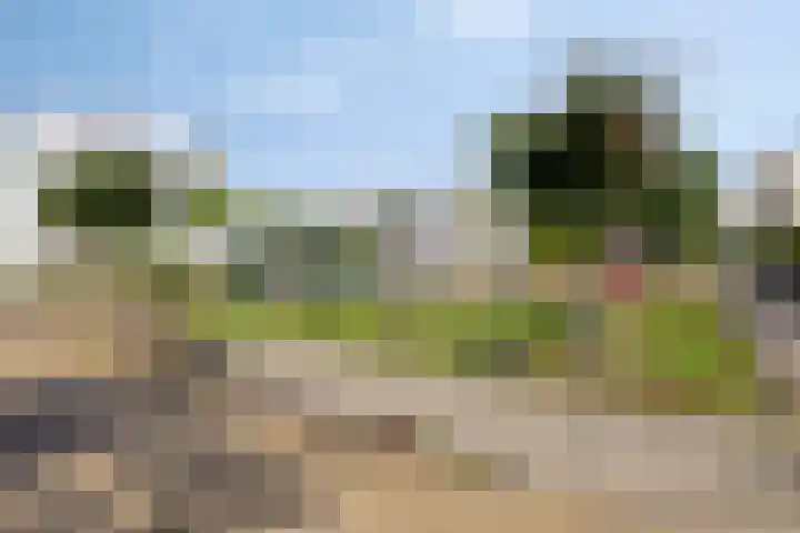 Mosgroen 16 Zoetermeer thumbnail 44