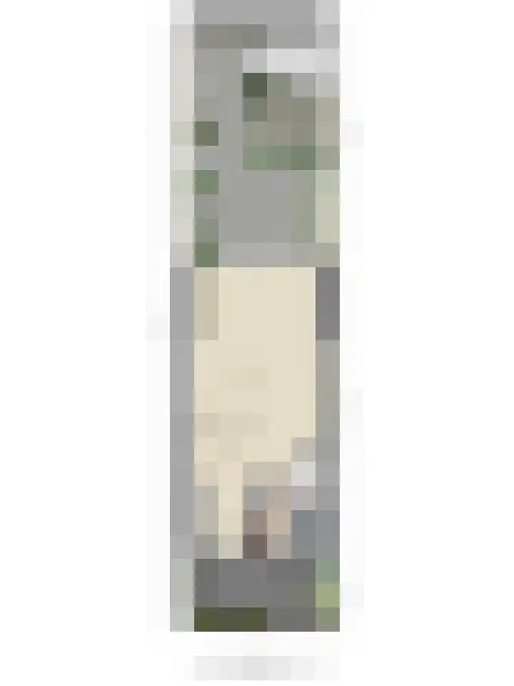Mosgroen 16 Zoetermeer thumbnail 47