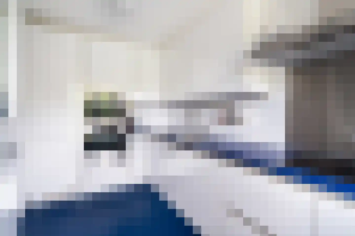 Mosgroen 181 Zoetermeer thumbnail 18