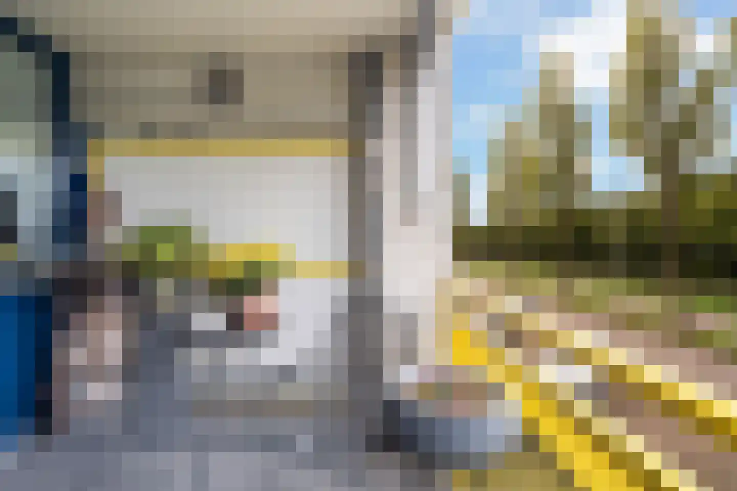 Mosgroen 181 Zoetermeer thumbnail 23