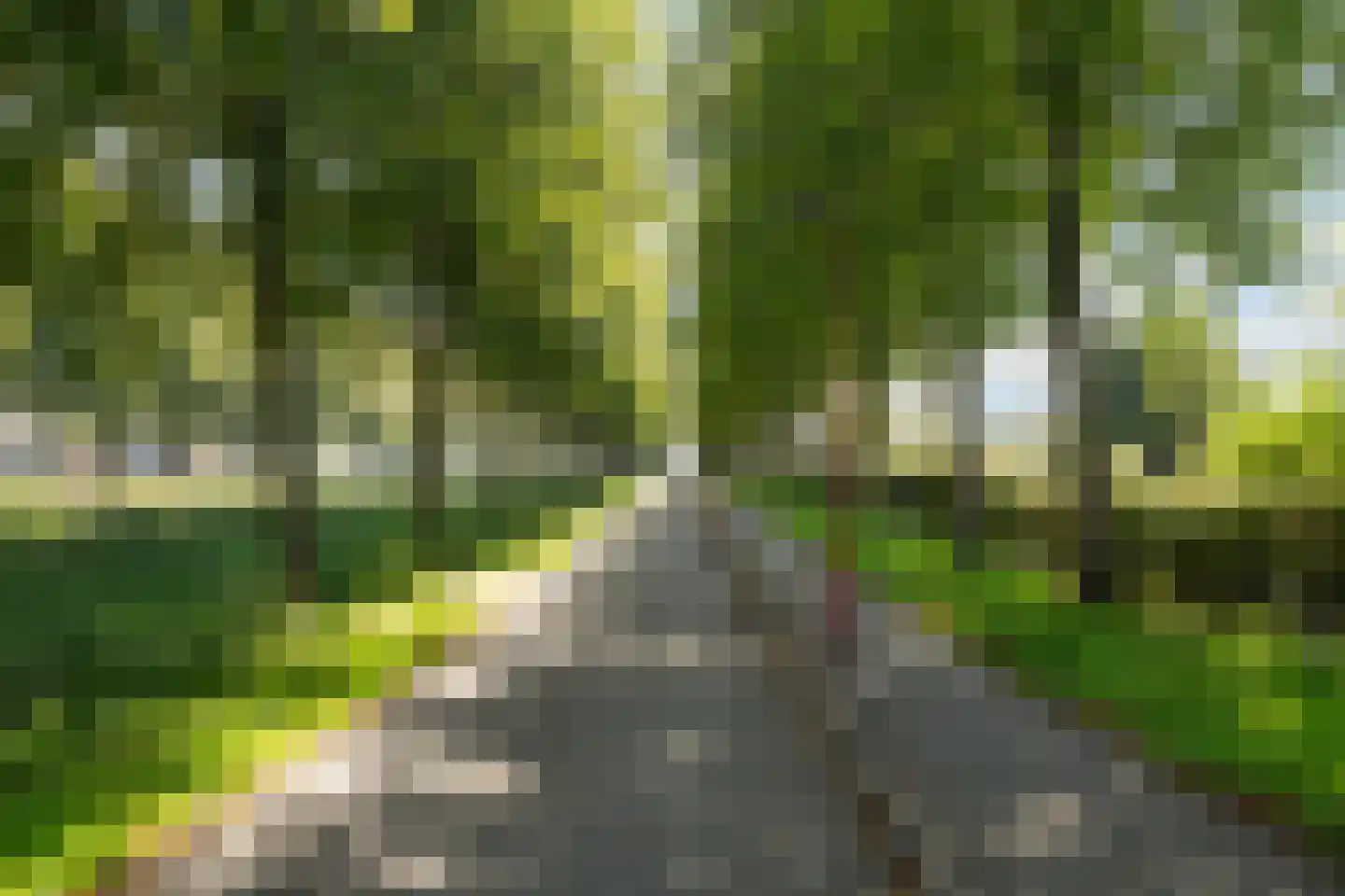 Mosgroen 181 Zoetermeer thumbnail 45