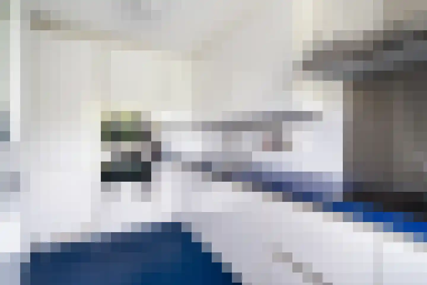 Mosgroen 181 Zoetermeer thumbnail 5