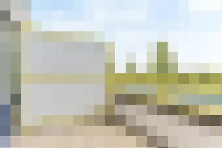 Mosgroen 213 Zoetermeer thumbnail 10