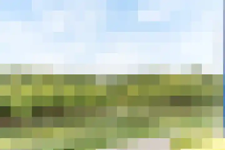 Mosgroen 213 Zoetermeer thumbnail 11