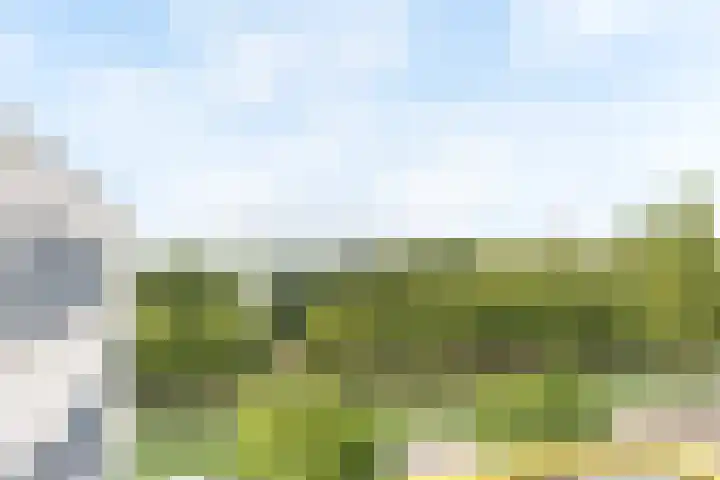 Mosgroen 213 Zoetermeer thumbnail 15