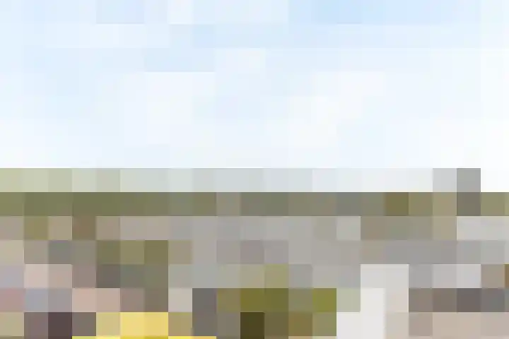 Mosgroen 213 Zoetermeer thumbnail 17