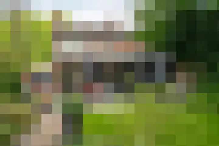 Mosgroen 213 Zoetermeer thumbnail 25