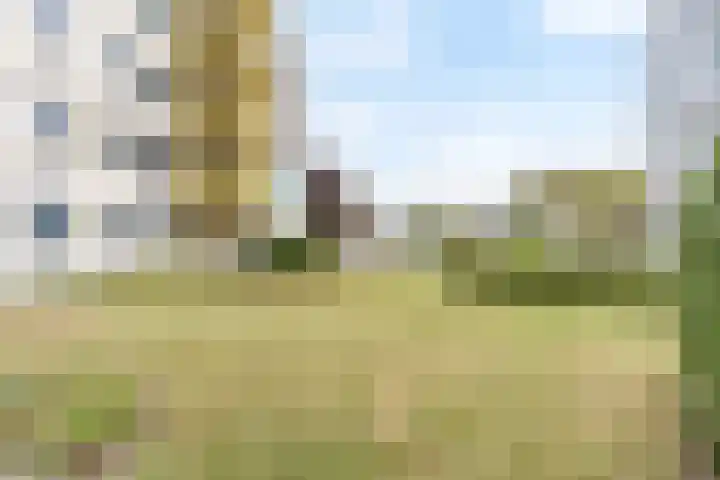 Mosgroen 213 Zoetermeer thumbnail 28