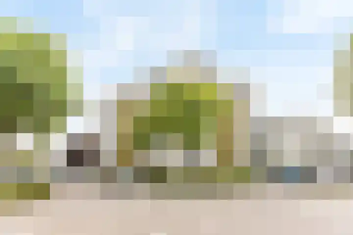 Mosgroen 213 Zoetermeer thumbnail 29