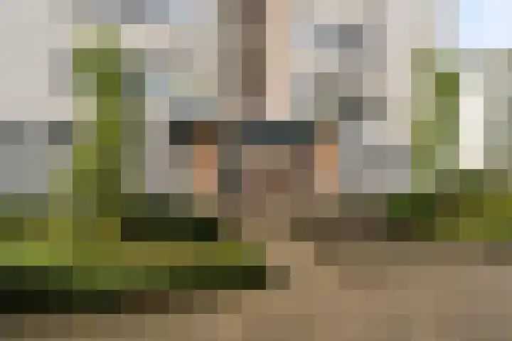 Mosgroen 277 Zoetermeer thumbnail 10