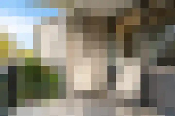 Mosgroen 277 Zoetermeer thumbnail 35