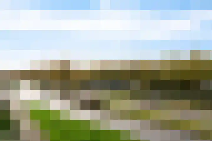 Mosgroen 277 Zoetermeer thumbnail 37