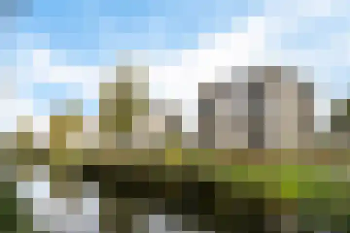 Mosgroen 277 Zoetermeer thumbnail 38