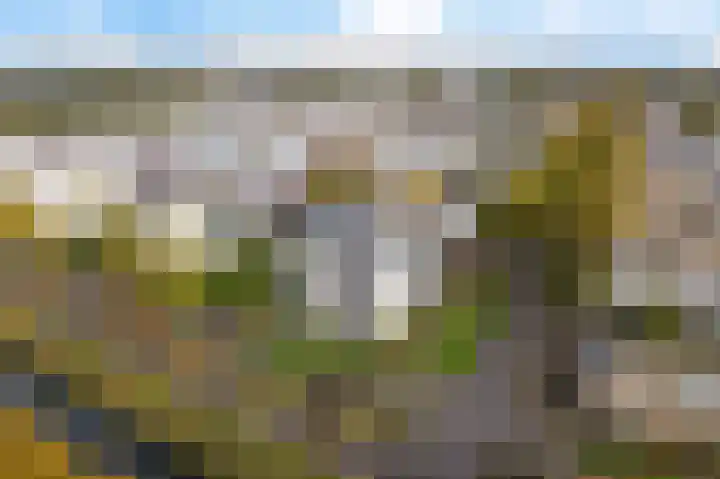 Mosgroen 277 Zoetermeer thumbnail 39