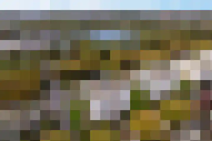 Mosgroen 277 Zoetermeer thumbnail 40