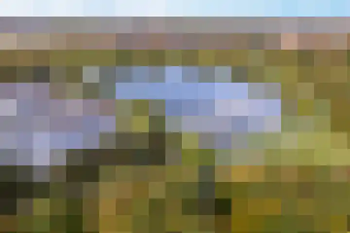 Mosgroen 277 Zoetermeer thumbnail 41