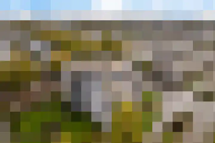 Mosgroen 277 Zoetermeer thumbnail 6