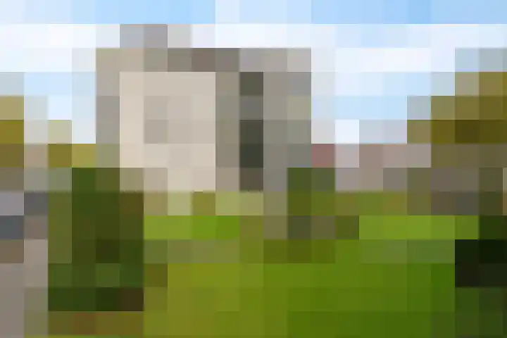 Mosgroen 277 Zoetermeer thumbnail 7