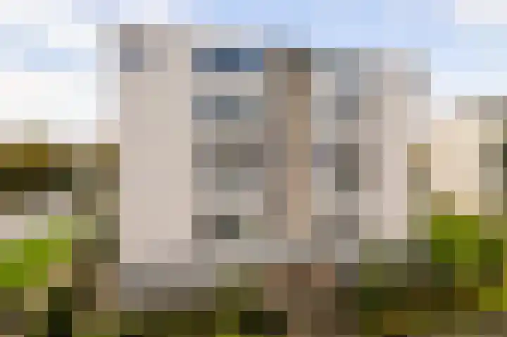 Mosgroen 277 Zoetermeer thumbnail 9
