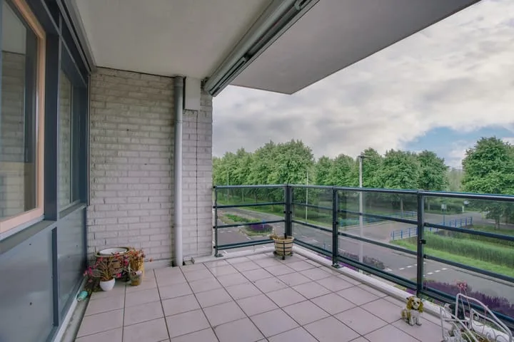 Mosgroen 291 Zoetermeer thumbnail 32